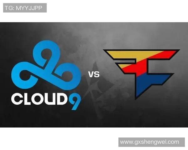 CSGO深度解析RNG战队在比赛中策略转换的关键因素与影响